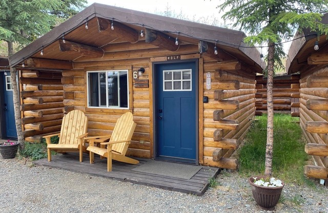 Wolf Cabin-Modern Comfort in the Last Frontier (For families or casual travelers)