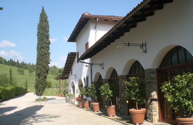wonderful area in the middle of the vineyards where you can relax and taste wine