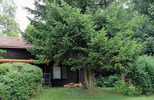 Wonderful private villa for 4 guests with WIFI, TV, patio, pets allowed and parking