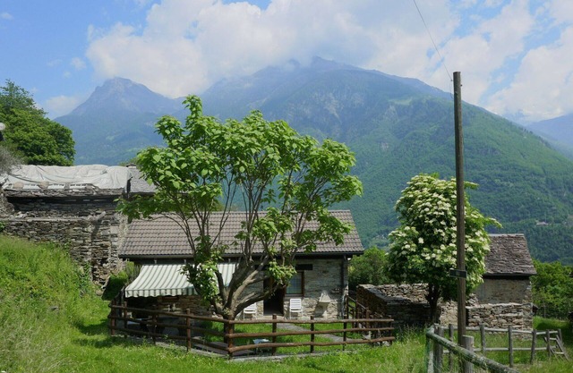 Wonderful private villa for 4 people with TV, patio, pets allowed and panoramic view