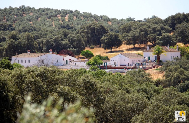 Wonderful rural house for groups and families in the Sierra north of seville
