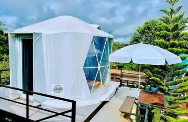 Yellowstone Cheewa View