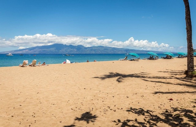 Yonegan Central Maui Getaways