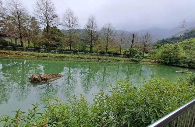 Yongle Ecological Hostel