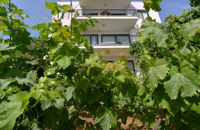 Your home on vacation.