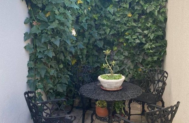 Zaffir Apartamento 3