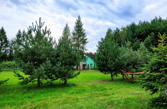 Zielona Zagroda Agnieszka Połeć