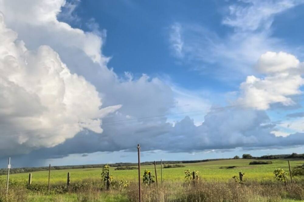 Zettemin House | Quiet and cozy vacation apartment in the Mecklenburg Lake District