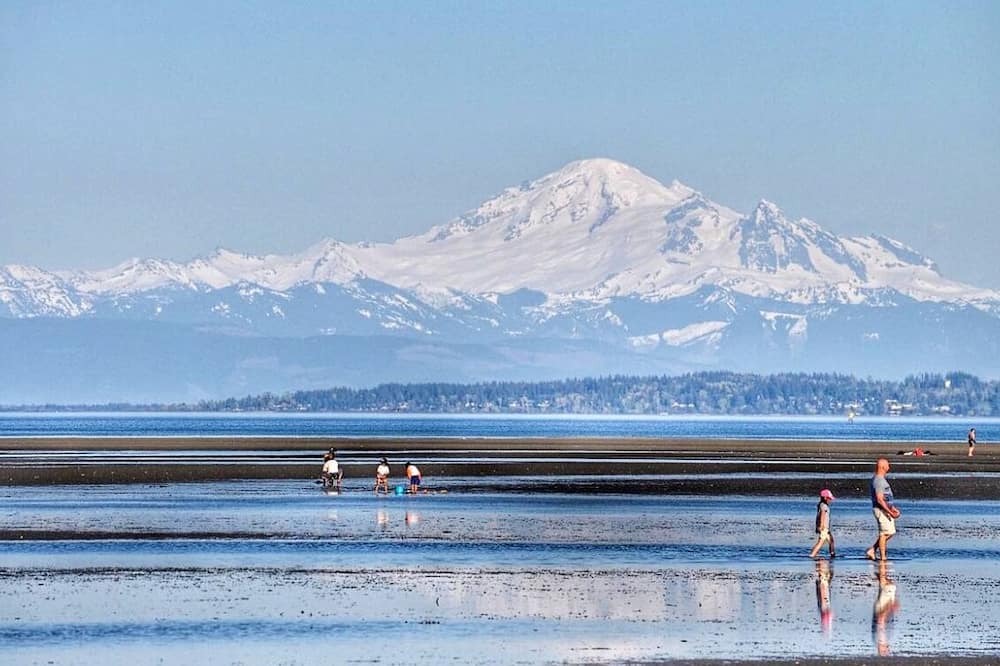 Boundary Bay Apartment | Brand new apartment by the beach