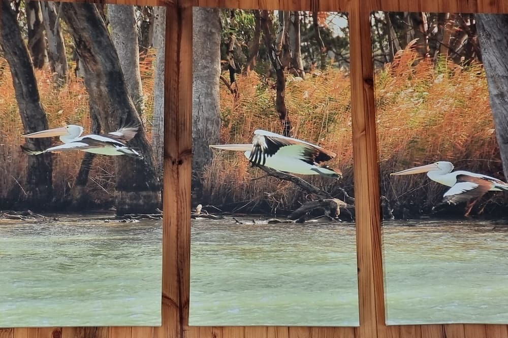 Murbko House | Rivergums Homestead - River Frontage! nWith ski beach and board walk.