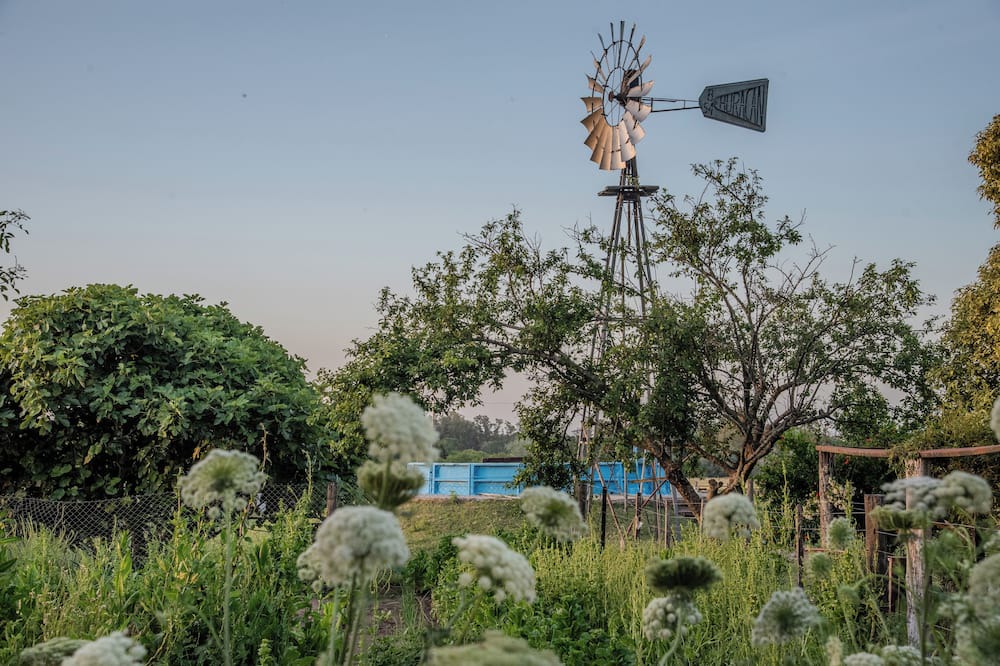 Partido de Capitan Sarmiento Hotel | HOTEL RURAL LA MARIA PALOMA