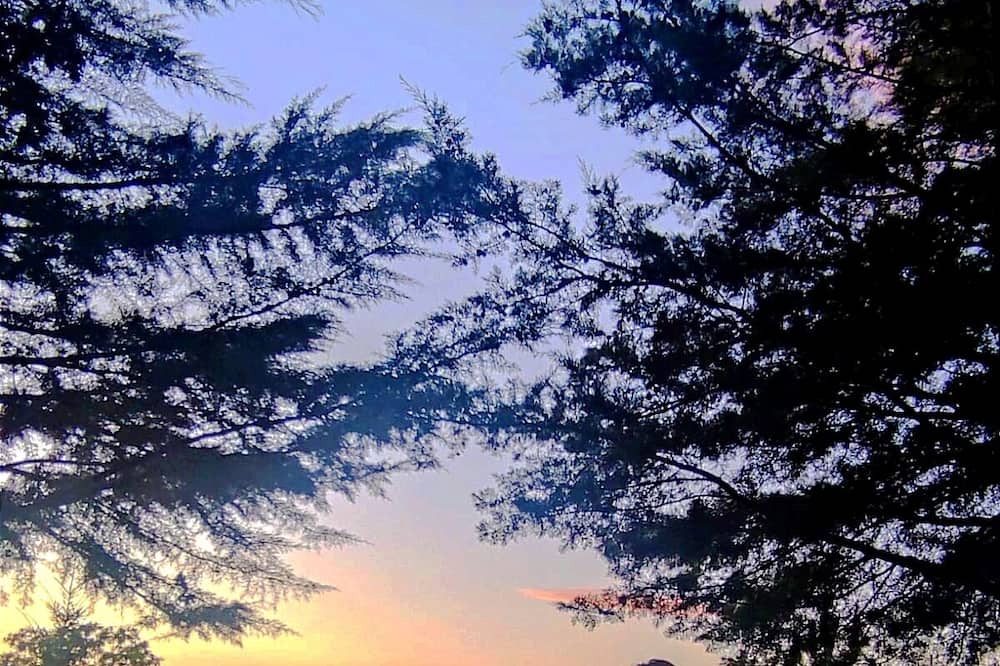 Tarouca Cottage | Casa Florestal @quintafelizardas