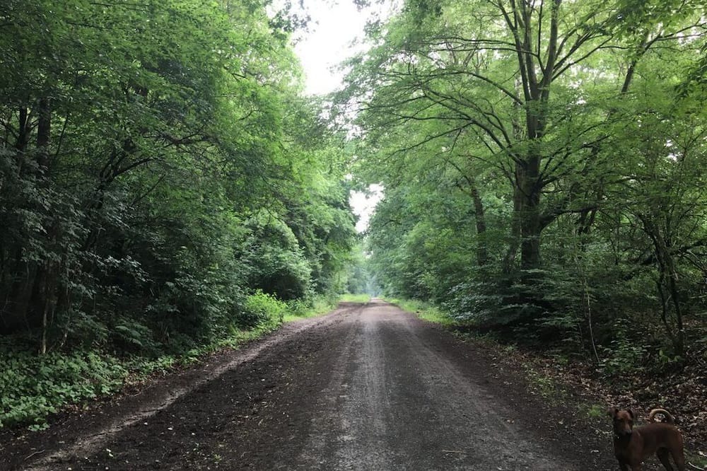 Dinslaken Apartment | Holiday home Ruhrpott-und-Rotbach