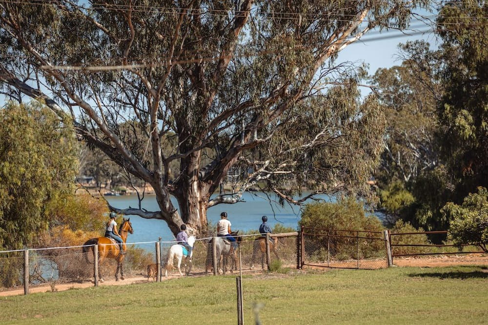 Murbko Boat Rental | Boathouse Kildalton Farm- Permanently Moored