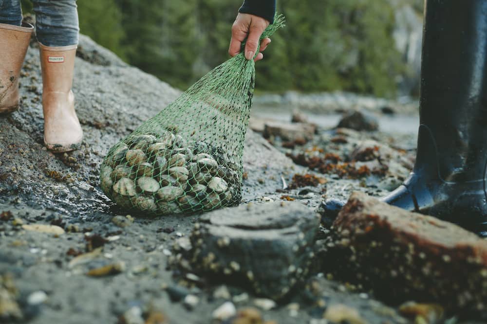 Mansons Landing Cabin | Cortes Beach house Relaxing cottage on the ocean