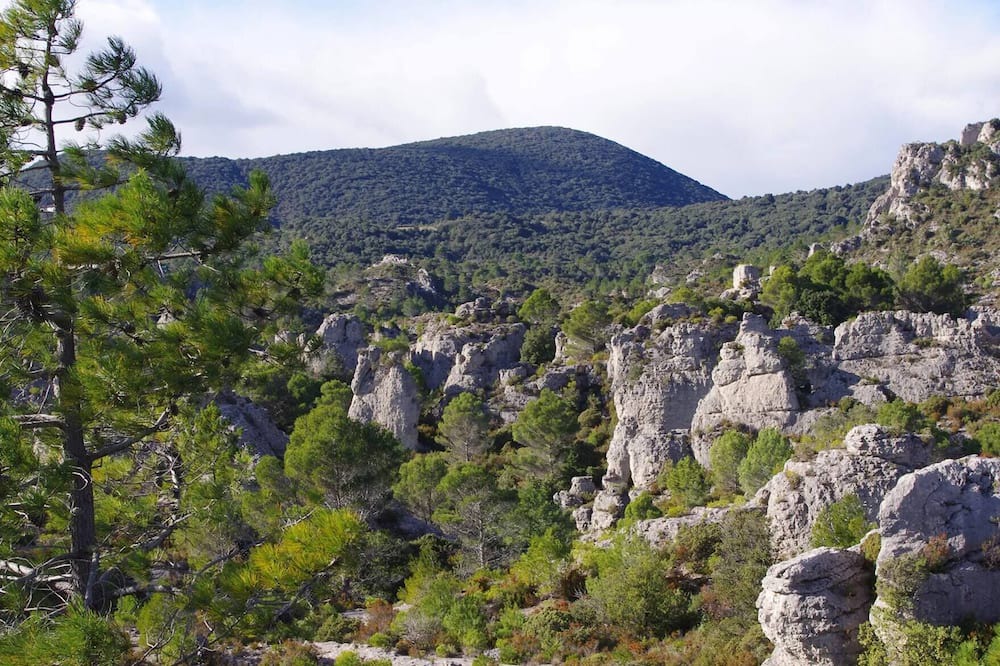 Lodeve Apartment | Apartment With Garden And View