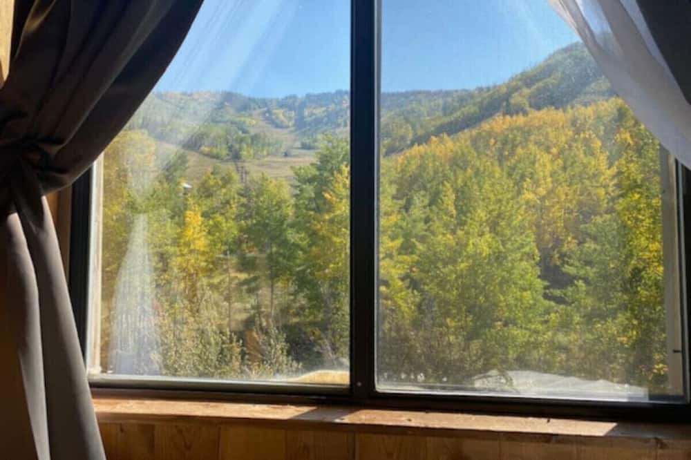 Glenwood Springs Cabin | Mountain View Room #14