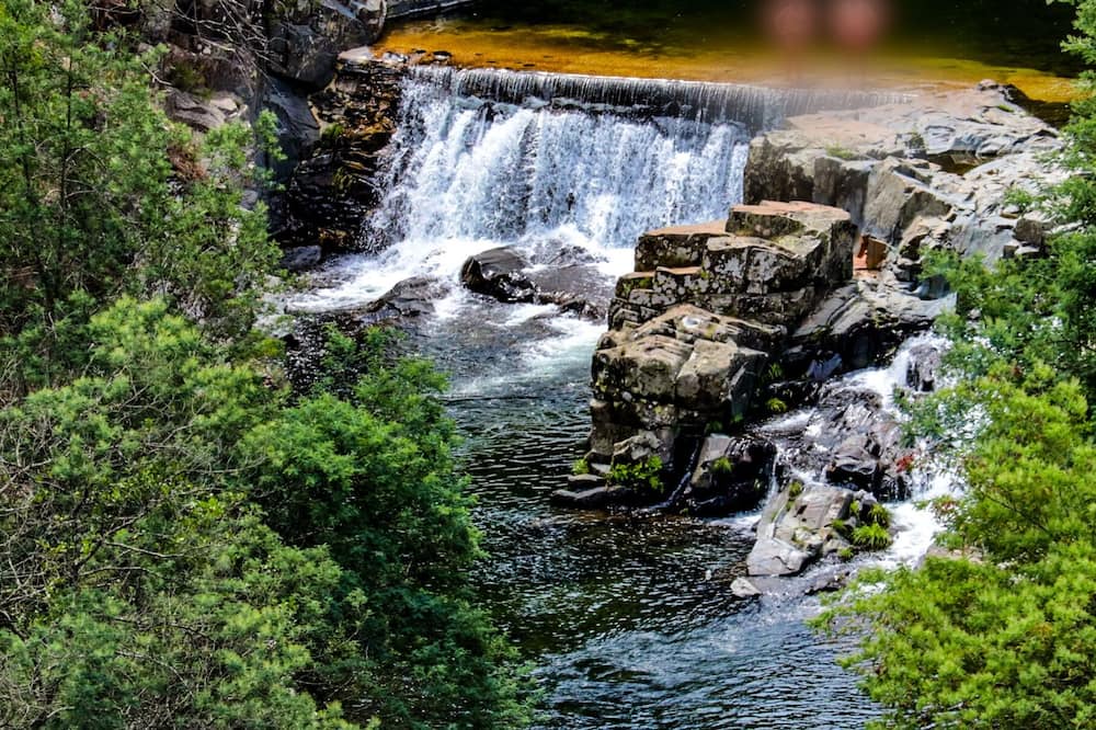 Gois Cottage | 5 Minutes From the River Beach, Room for Groups, Góis in a Quiet Rural Setting