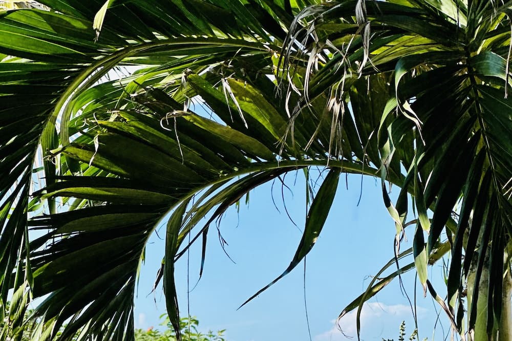 Sisal Apartment | Beachfront studio in Sisal