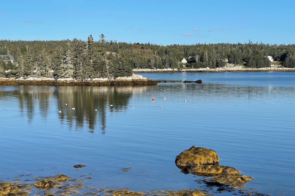 Indian Harbour Cottage | Charming historic oceanfront 2-bedroom cottage in beautiful Indian Harbour.