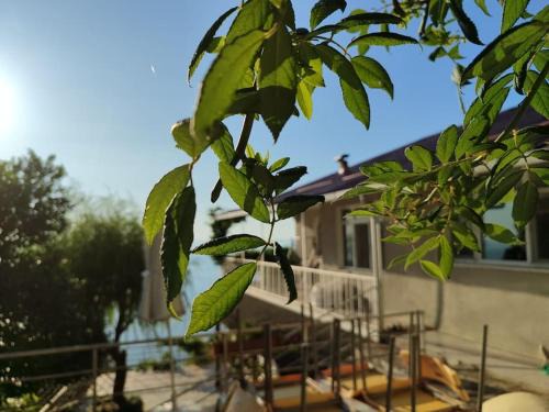 Cayeli House | Kemer Kır Evi