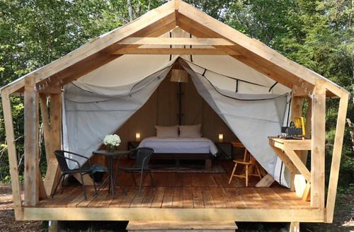 Newport Other | NATURA Wilderness