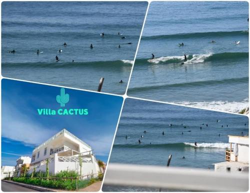 Imsouane House | Cactus House - 6 or 9 Px