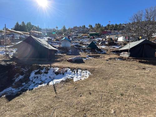 Auli Other | Budget Camp