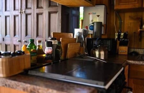 Rogers House | Secluded cabin w/ Finnish Sauna & Forest Baths