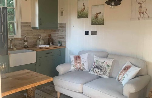 Lowton Cabin | Luxury Shepherd's Hut with Hot Tub