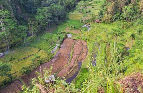 Lombok Other | Lembah Datu Campsite
