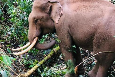 Mae Chaem House | Huay Pakkoot Village