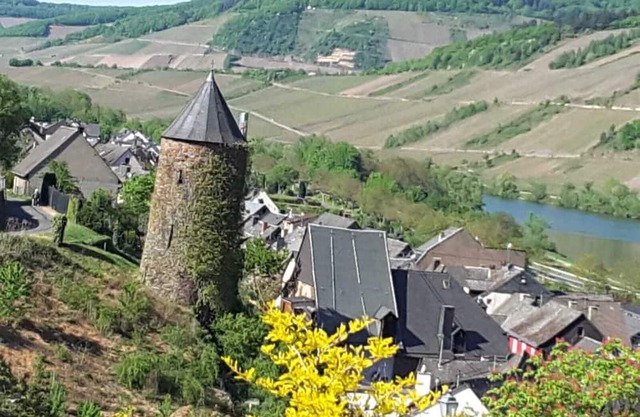Cozy apartment near Zell a d Mosel in Briedel. Dog friendly