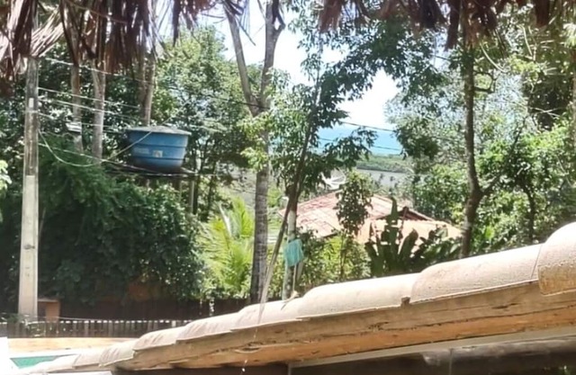 House with swimming pool in the middle of nature, surrounded by trees and sea views!