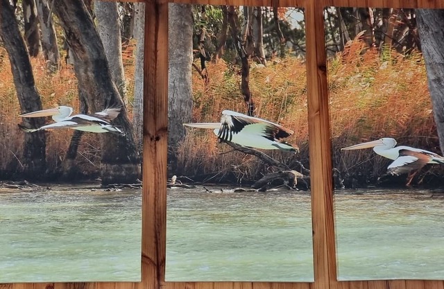 Rivergums Homestead - River Frontage! nWith ski beach and board walk.