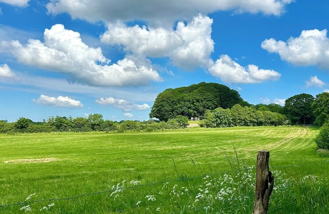 Ferienapartment Haus am Boxberg