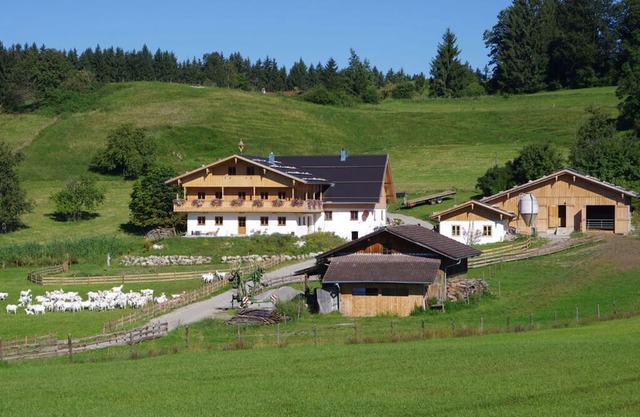 Holiday apartment Almstüberl