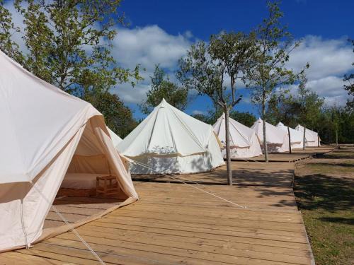 Glamping Zaragoza Camping